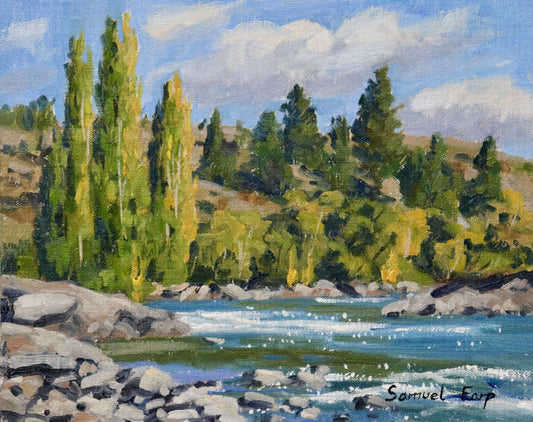 Autumn Trees by the Kawarau River | 8" x 10" | Plein Air Oil Painting