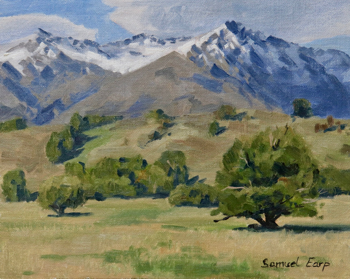 Autumn Pastures | 8" x 10" | Plein Air Oil Painting