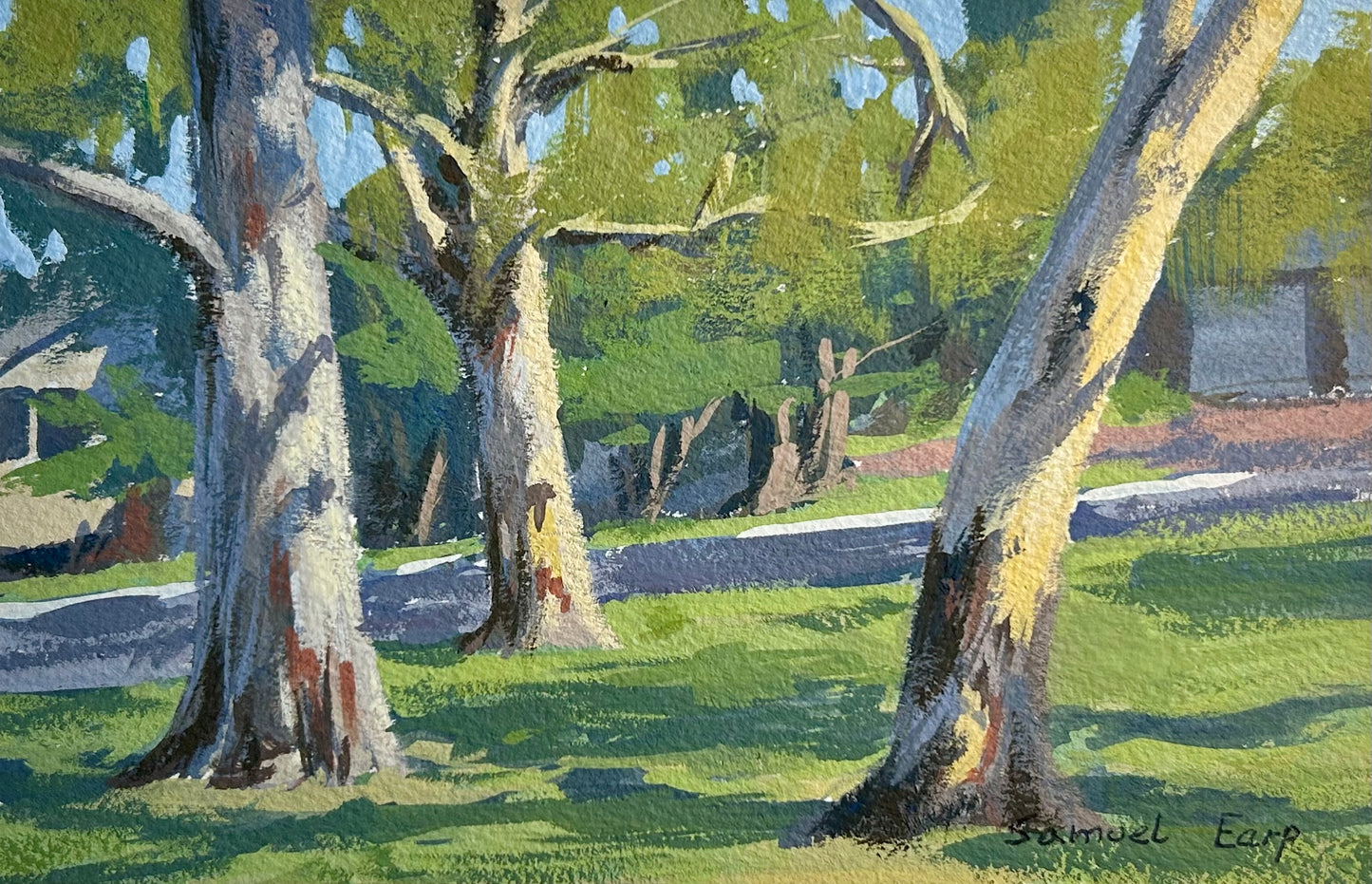 Parkland Giants – Urban Gum Trees | 5.5″ x 8″ | Gouache on Watercolor Paper