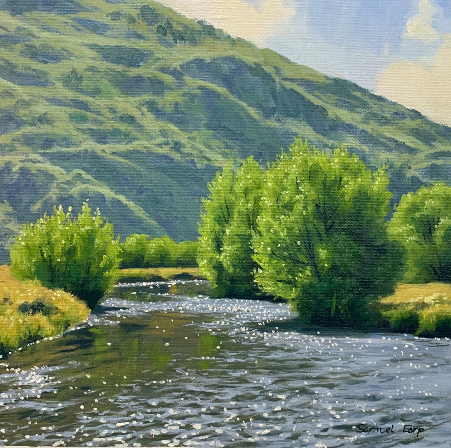 Summer Willows | Original Oil Painting | 12 x 12